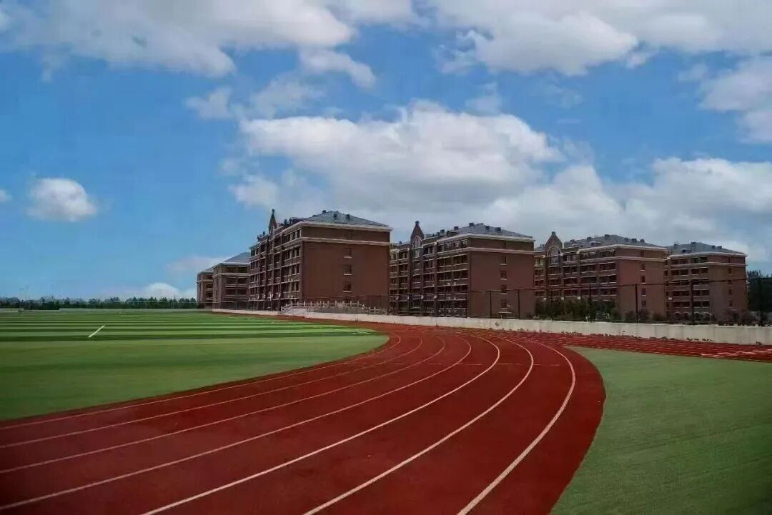 乐在趣中动享冬日菏泽国开实验学校初中冬季趣味运动会掠影_13.jpg